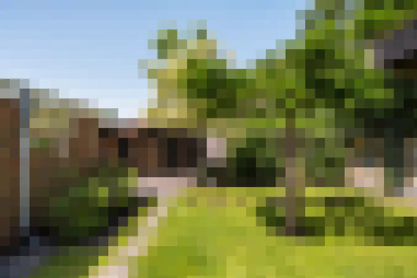 Teunisbloem 41 Dalfsen thumbnail 32