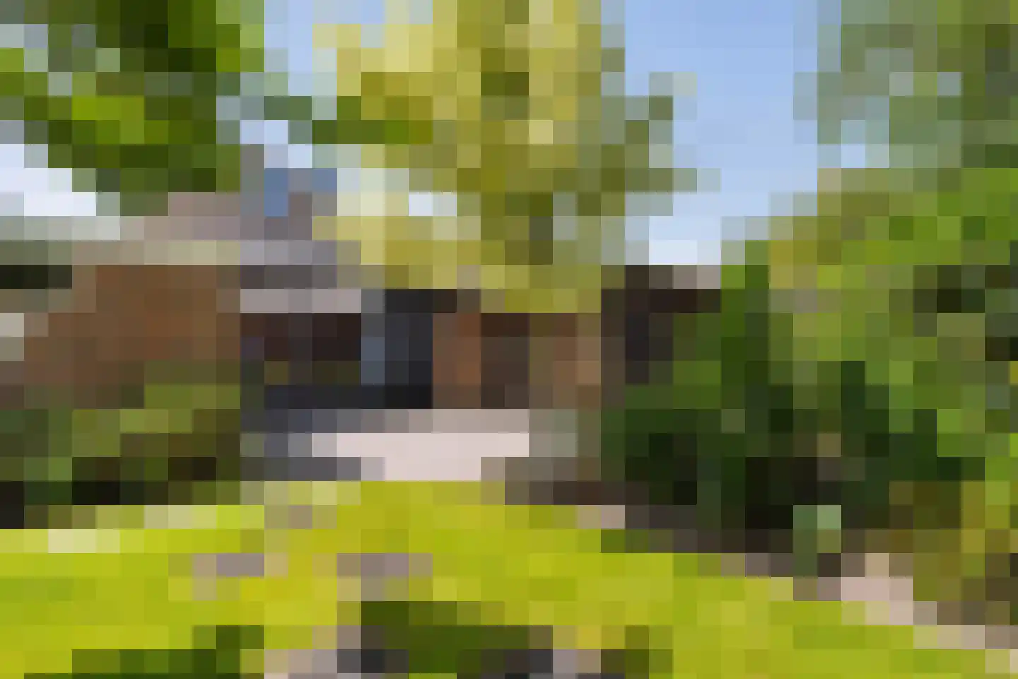 Teunisbloem 41 Dalfsen thumbnail 33