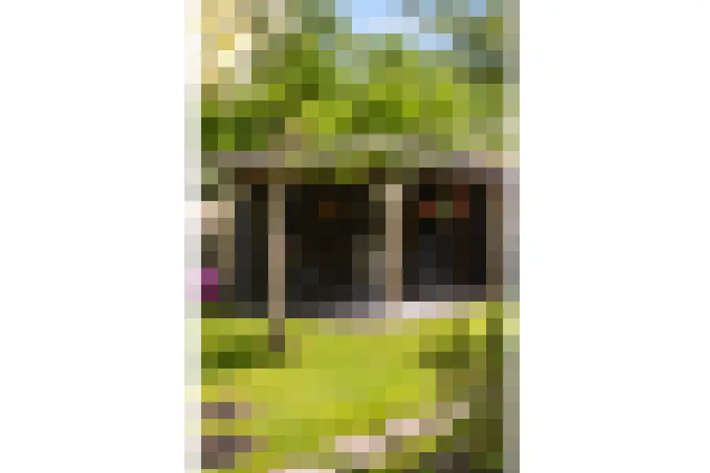 Teunisbloem 41 Dalfsen thumbnail 34