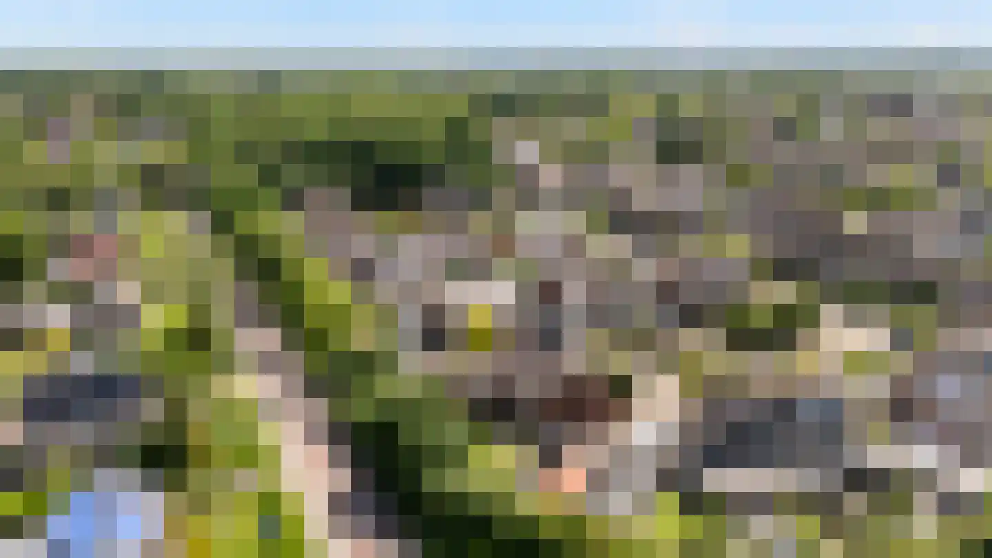 Teunisbloem 41 Dalfsen thumbnail 36