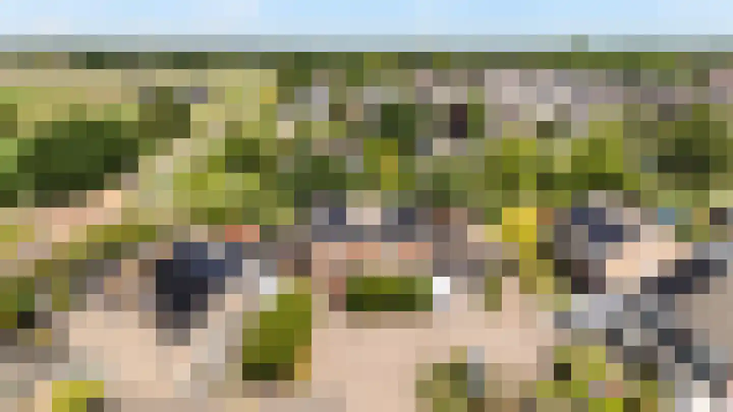 Teunisbloem 41 Dalfsen thumbnail 4
