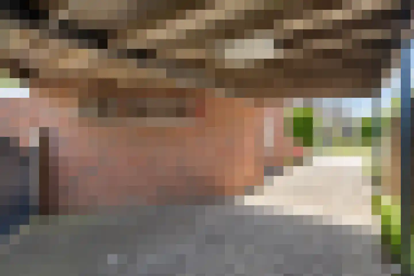 Teunisbloem 41 Dalfsen thumbnail 6