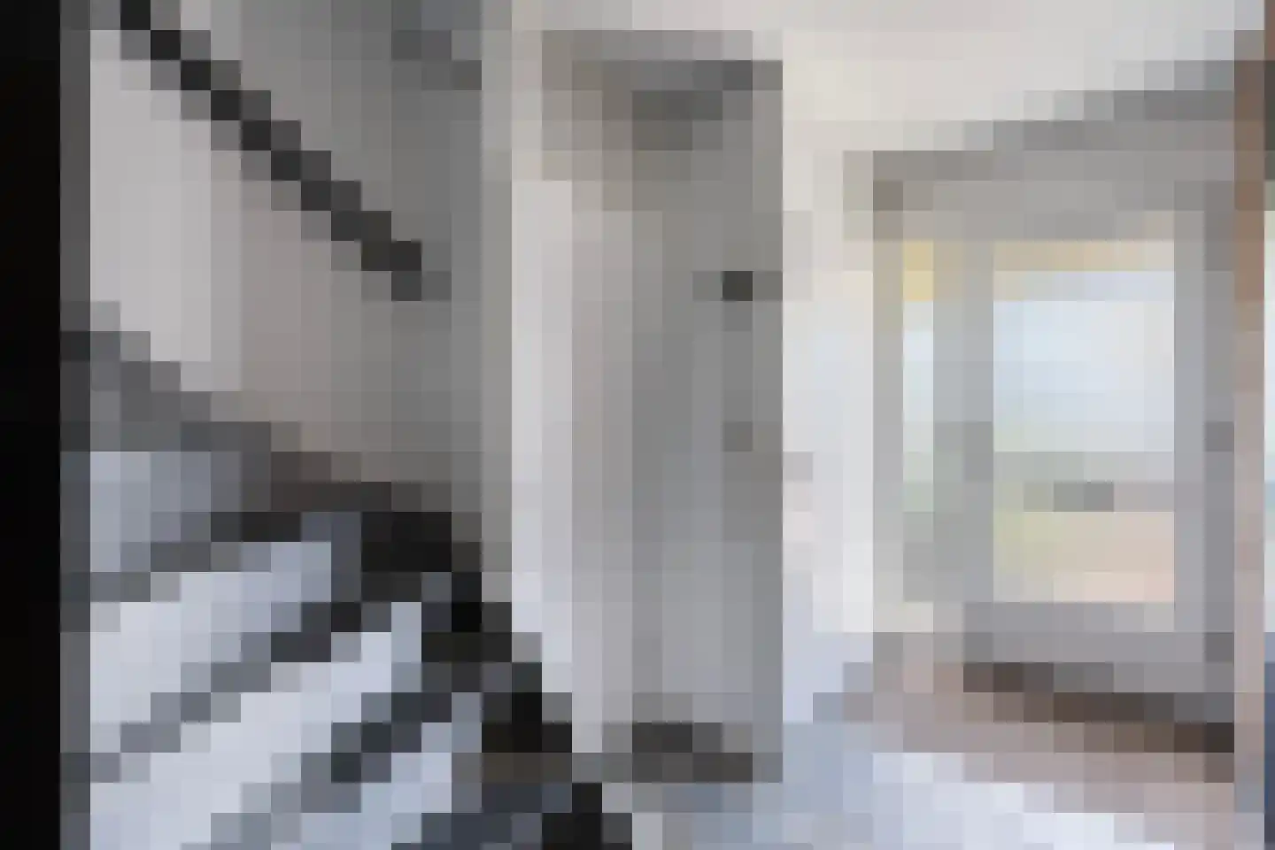 Teunisbloem 41 Dalfsen thumbnail 7