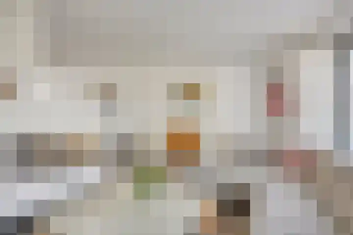 Teunisbloem 6 Eijsden thumbnail 10