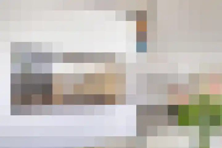 Teunisbloem 6 Eijsden thumbnail 11
