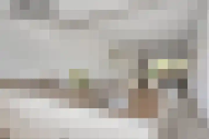 Teunisbloem 6 Eijsden thumbnail 13