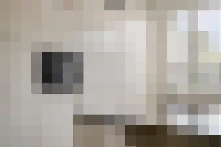 Teunisbloem 6 Eijsden thumbnail 14
