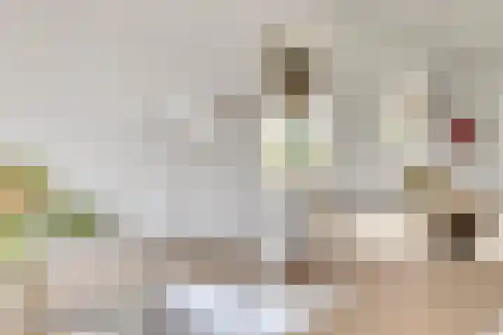Teunisbloem 6 Eijsden thumbnail 15