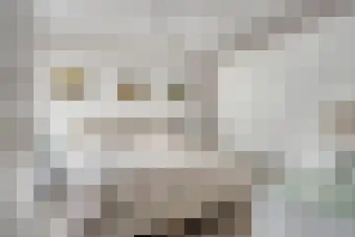 Teunisbloem 6 Eijsden thumbnail 18
