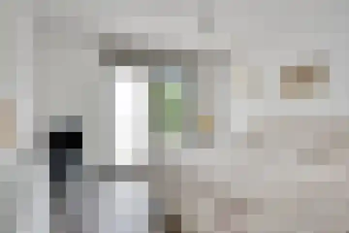 Teunisbloem 6 Eijsden thumbnail 19