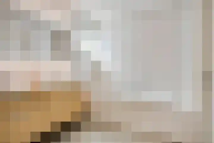 Teunisbloem 6 Eijsden thumbnail 21