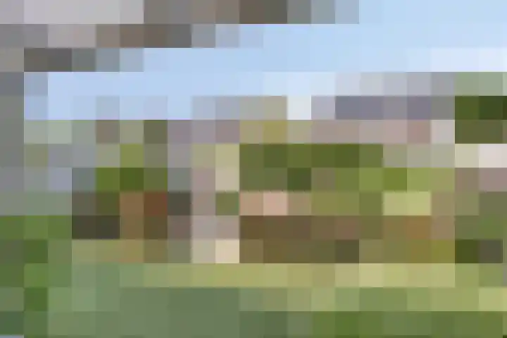 Teunisbloem 6 Eijsden thumbnail 25