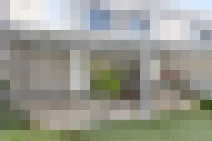 Teunisbloem 6 Eijsden thumbnail 26