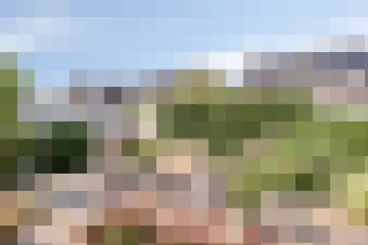 Teunisbloem 6 Eijsden thumbnail 27