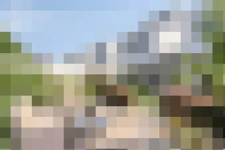 Teunisbloem 6 Eijsden thumbnail 28