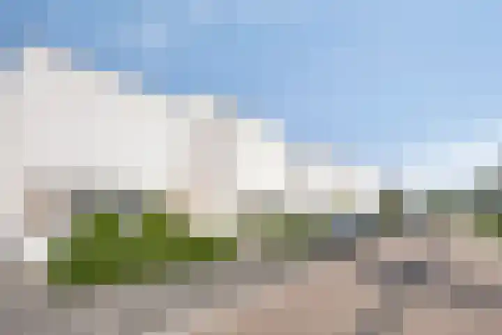 Teunisbloem 6 Eijsden thumbnail 29