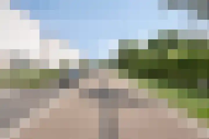 Teunisbloem 6 Eijsden thumbnail 30