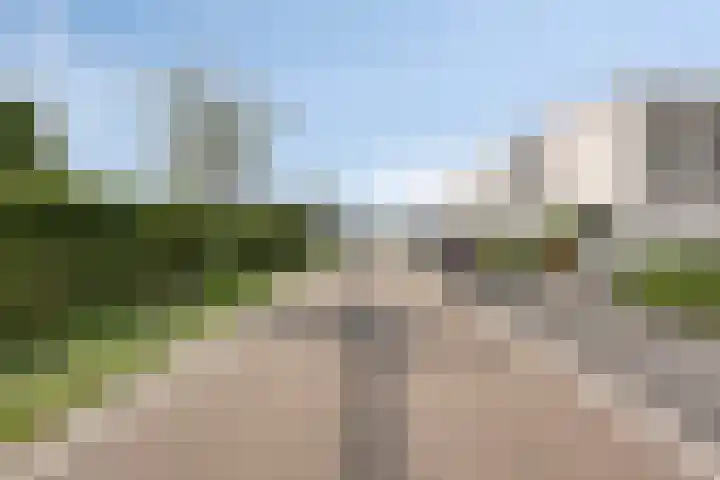 Teunisbloem 6 Eijsden thumbnail 31