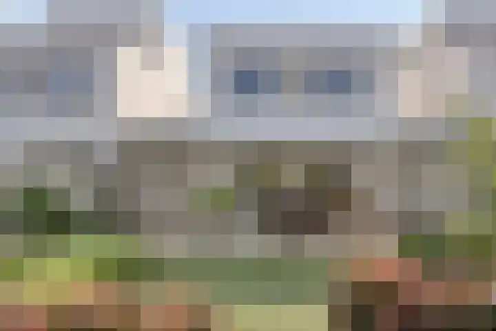 Teunisbloem 6 Eijsden thumbnail 5