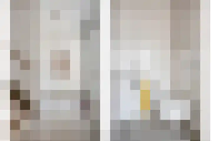 Teunisbloem 6 Eijsden thumbnail 6