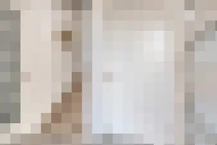 Teunisbloem 6 Eijsden thumbnail 7