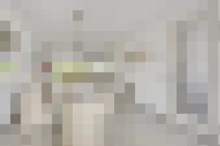 Teunisbloem 6 Eijsden thumbnail 8