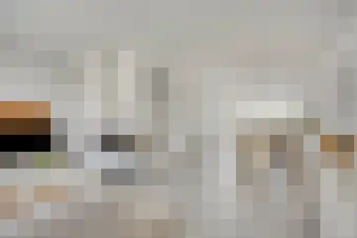 Teunisbloem 6 Eijsden thumbnail 9