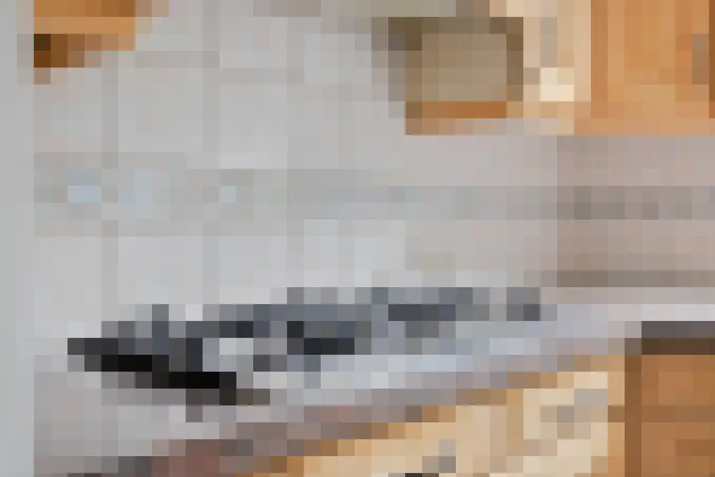 Teunisbloem 7 Deurne thumbnail 22