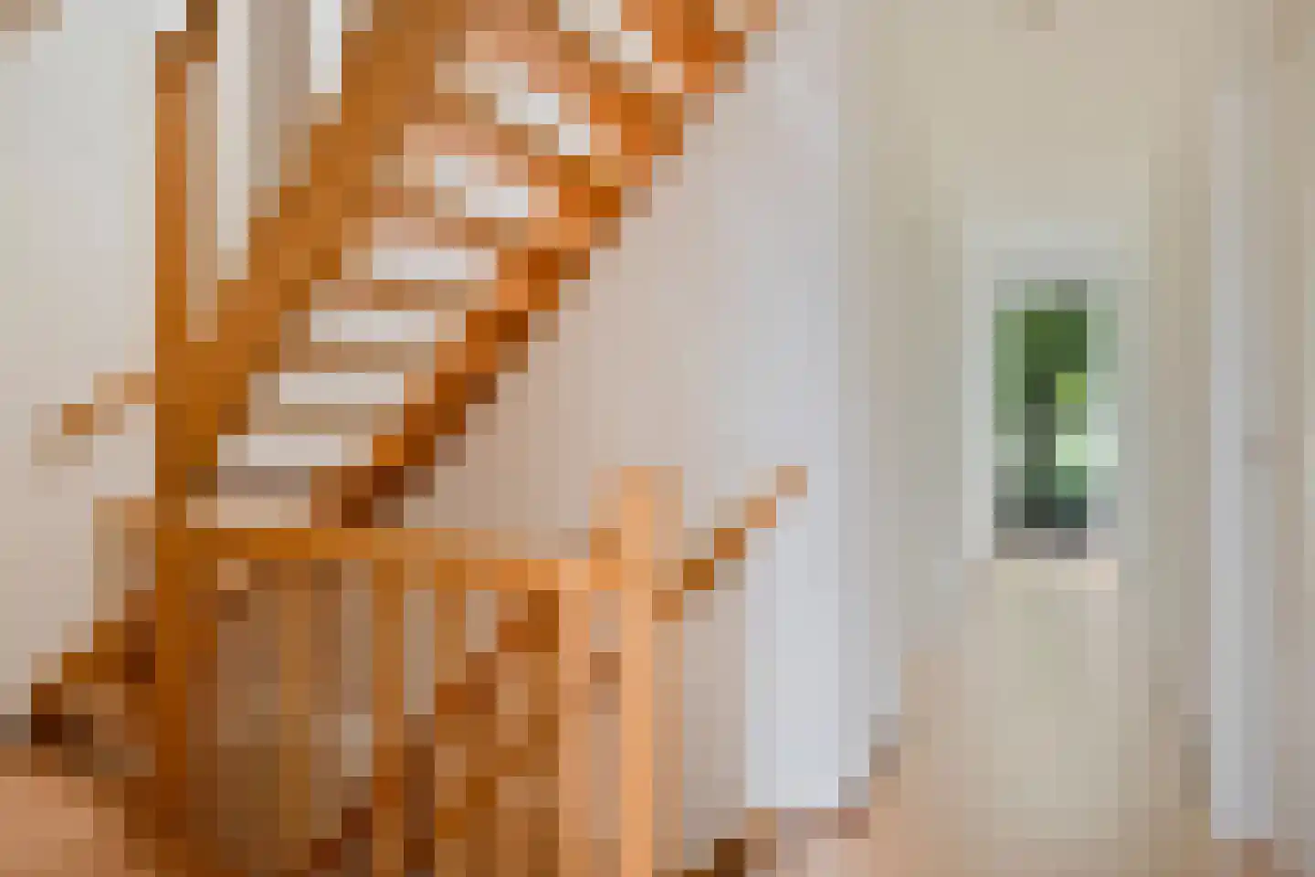 Teunisbloem 7 Deurne thumbnail 27
