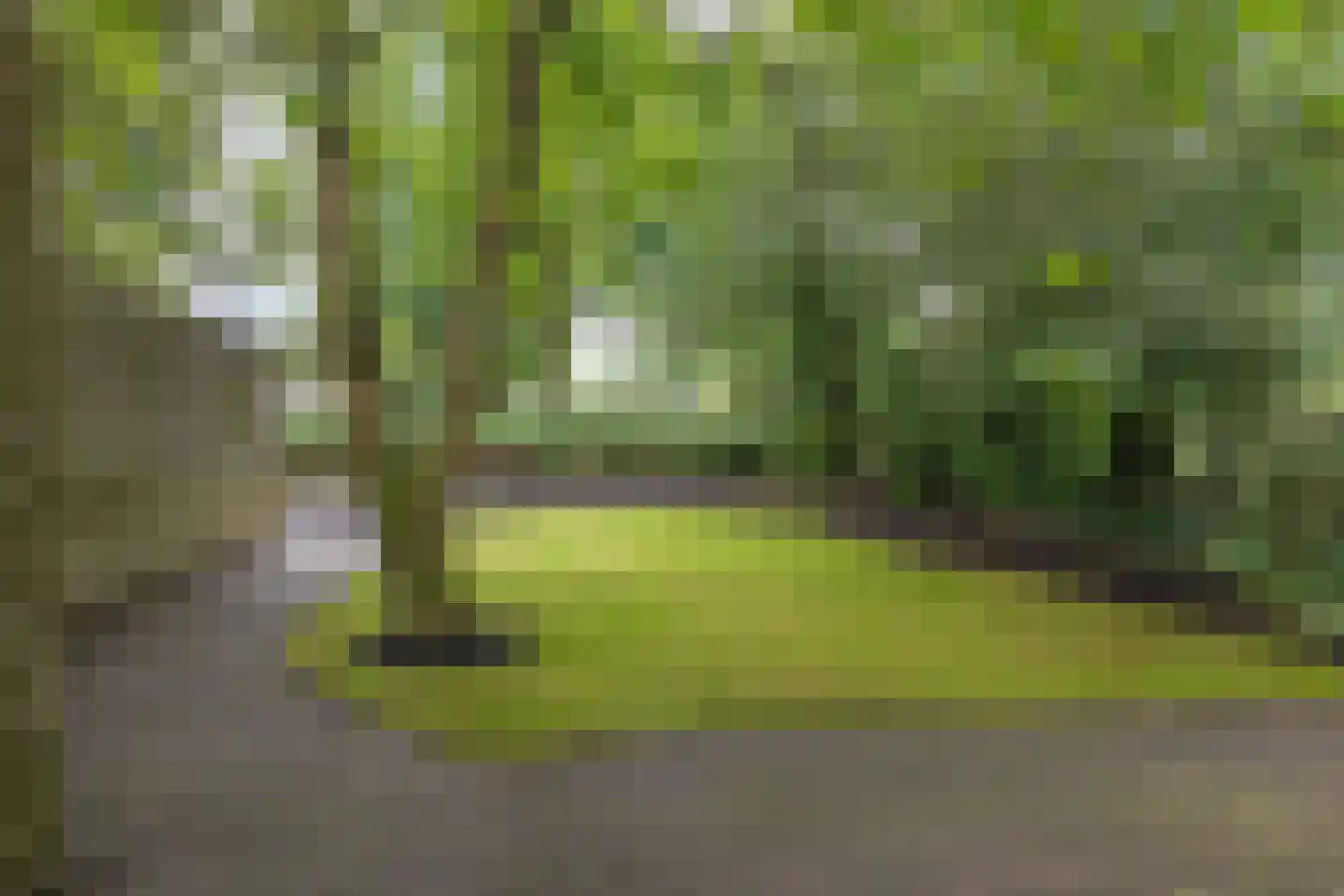 Teunisbloem 7 Deurne thumbnail 53