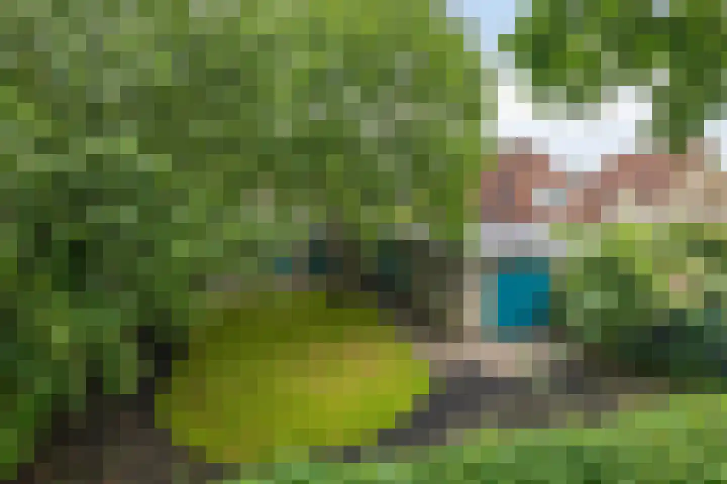 Teunisbloem 7 Deurne thumbnail 55