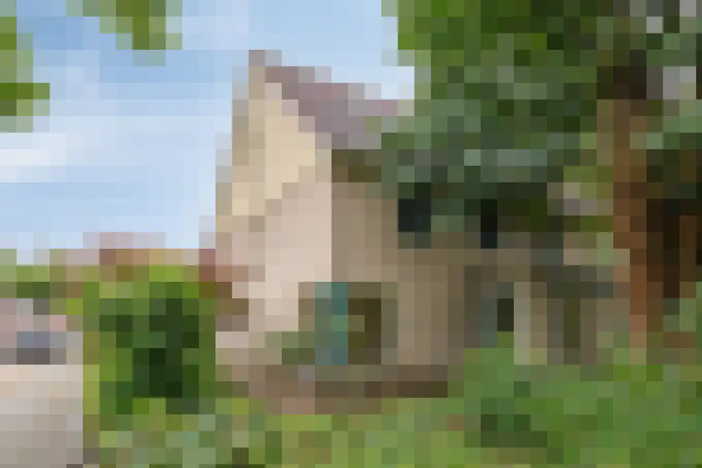 Teunisbloem 7 Deurne thumbnail 58