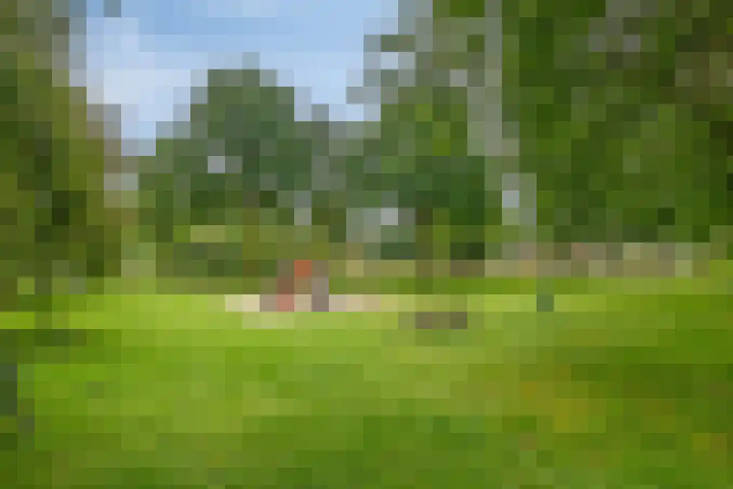 Teunisbloem 7 Deurne thumbnail 62