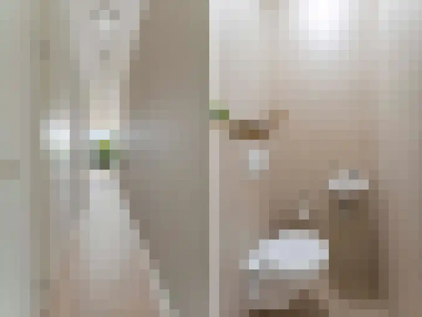 Teunisbloemlaan 12 Vleuten thumbnail 16