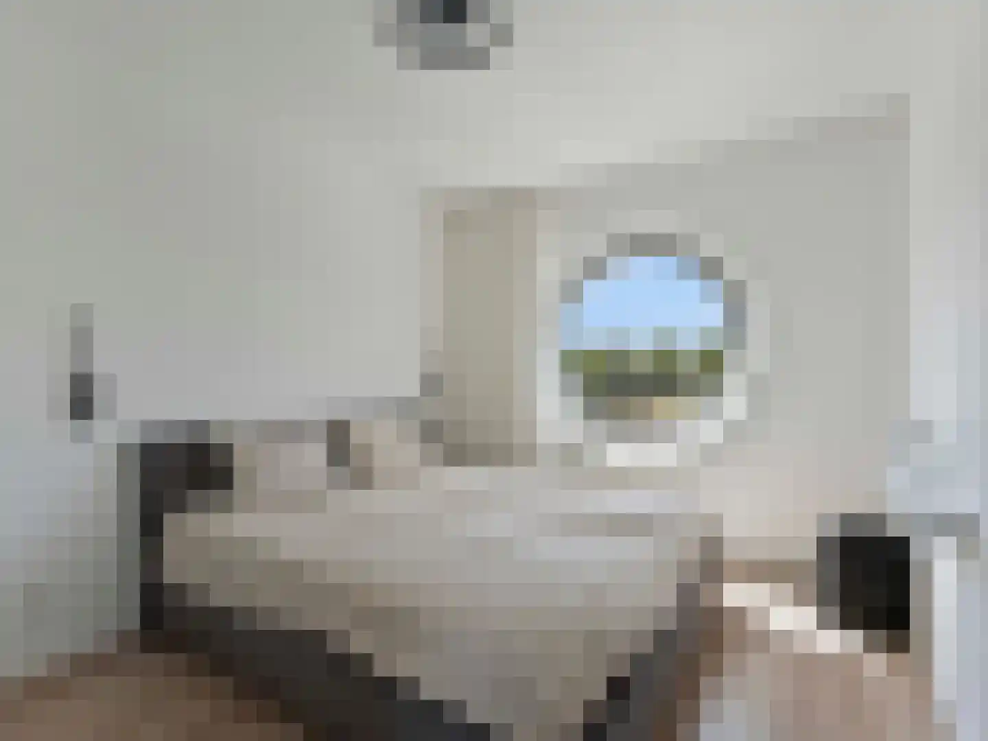 Teunisbloemlaan 12 Vleuten thumbnail 19
