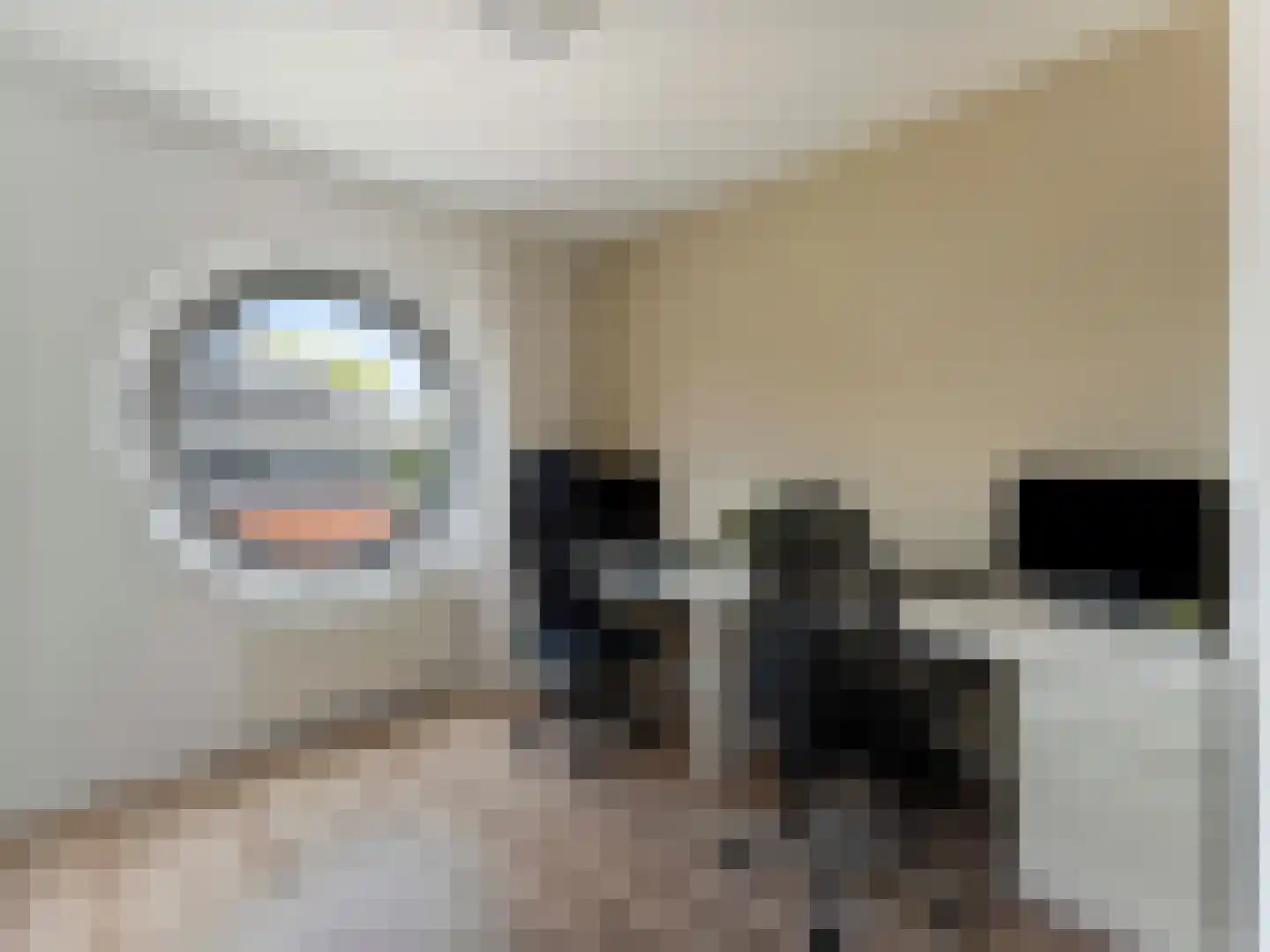 Teunisbloemlaan 12 Vleuten thumbnail 23
