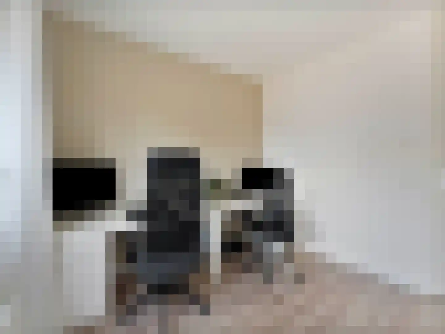 Teunisbloemlaan 12 Vleuten thumbnail 24