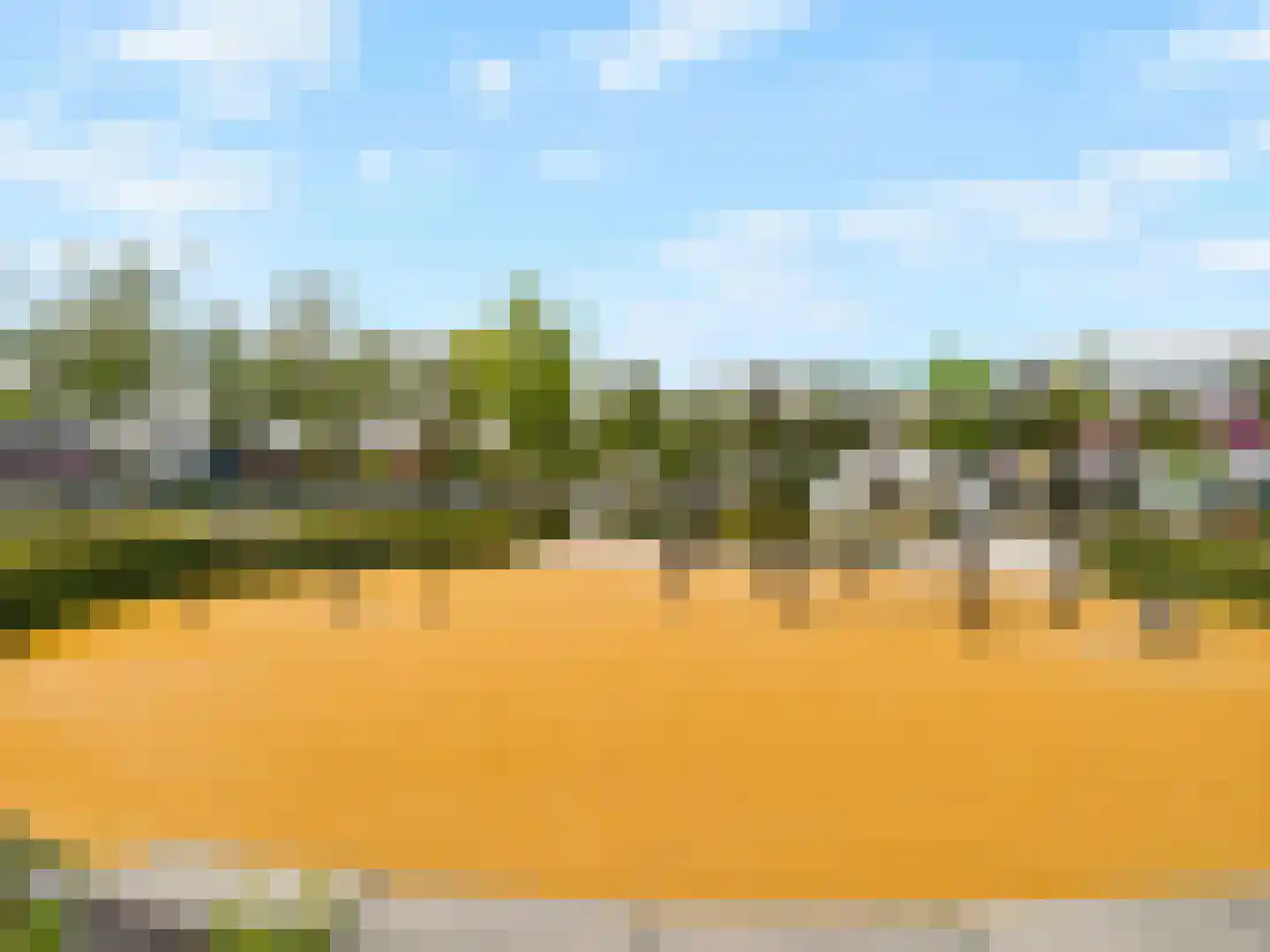 Teunisbloemlaan 12 Vleuten thumbnail 32