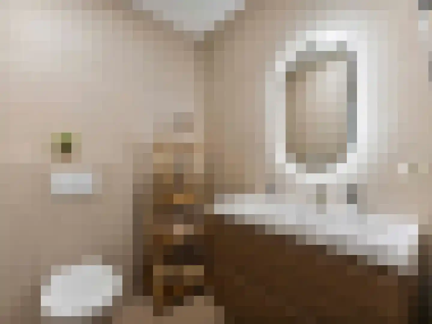 Teunisbloemlaan 12 Vleuten thumbnail 4