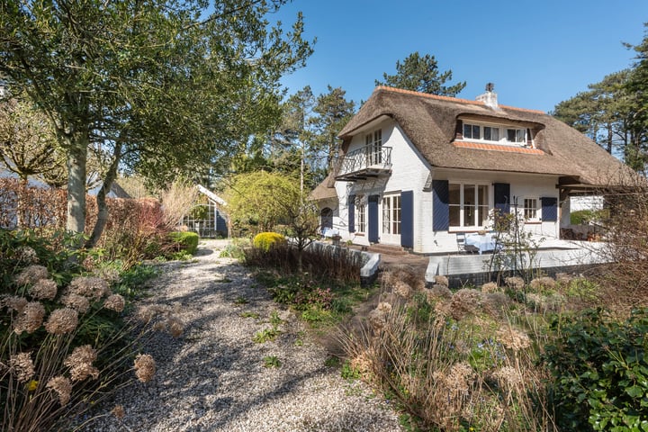 Teunisbloemlaan 14 en Bentveld foto