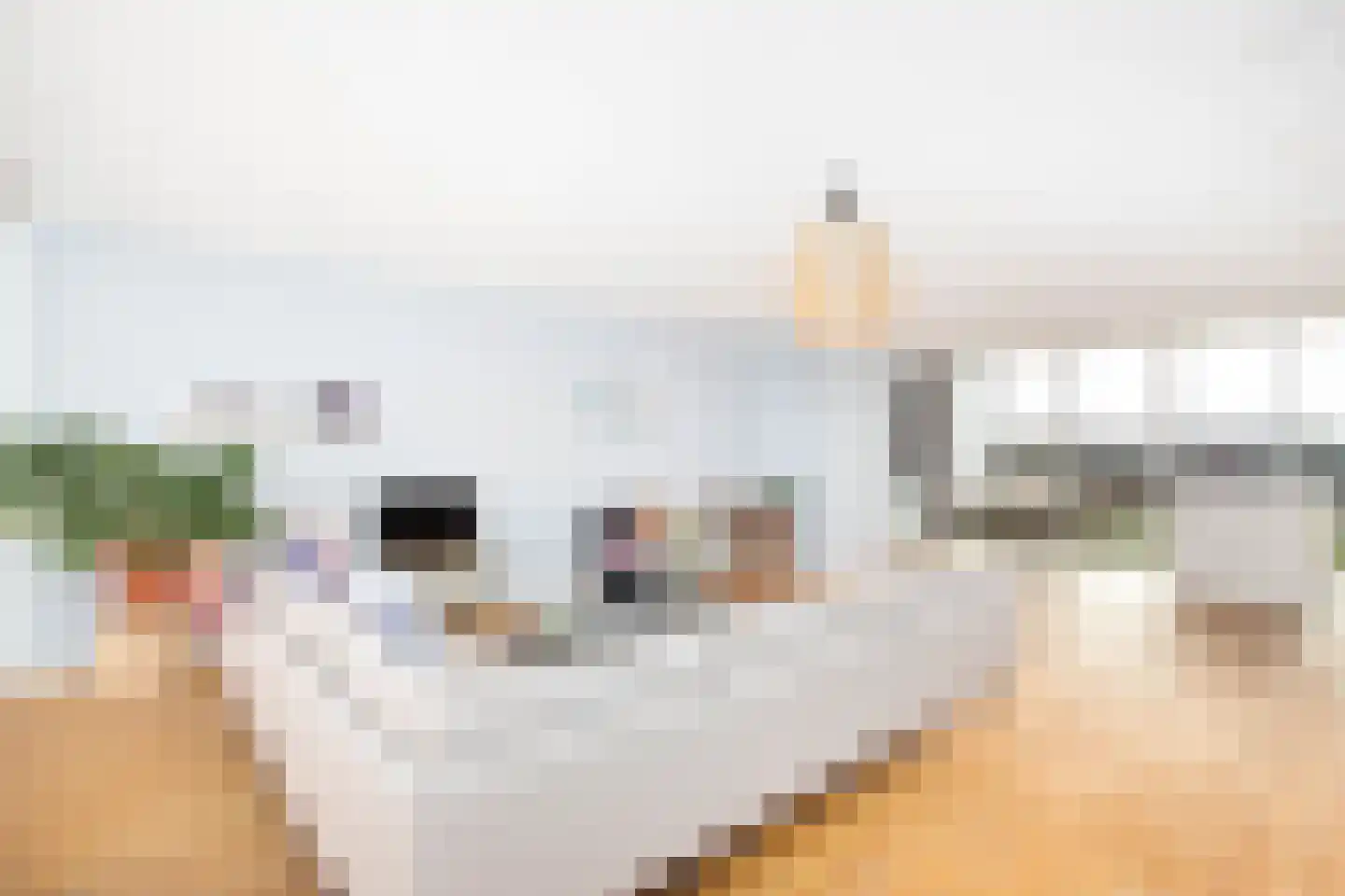 Teunisbloemlaan 30 Vleuten thumbnail 10
