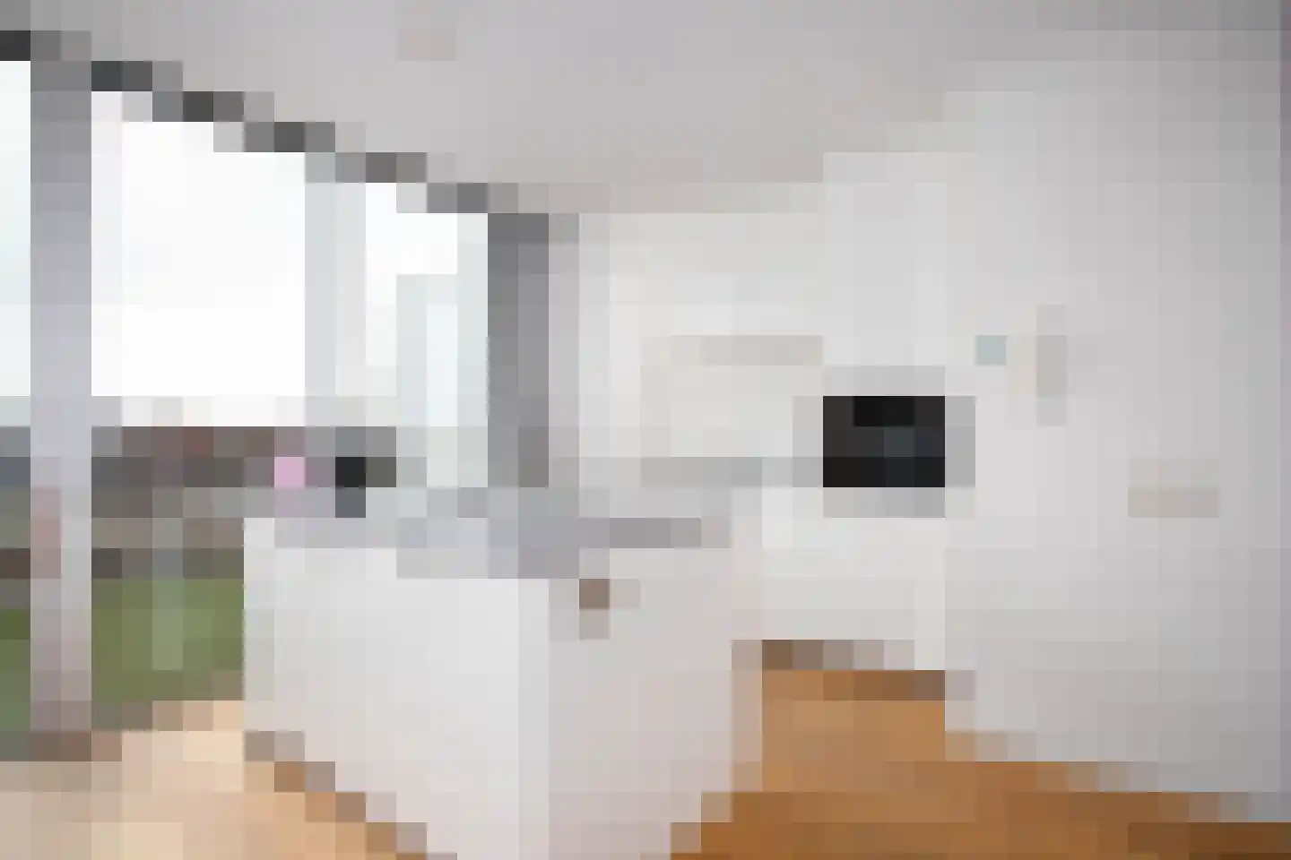 Teunisbloemlaan 30 Vleuten thumbnail 14