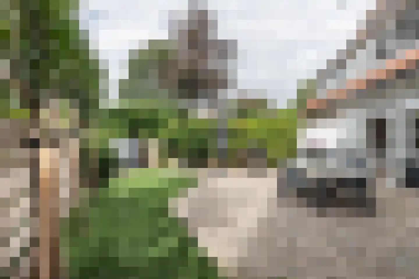 Teunisbloemlaan 4 Bentveld thumbnail 23