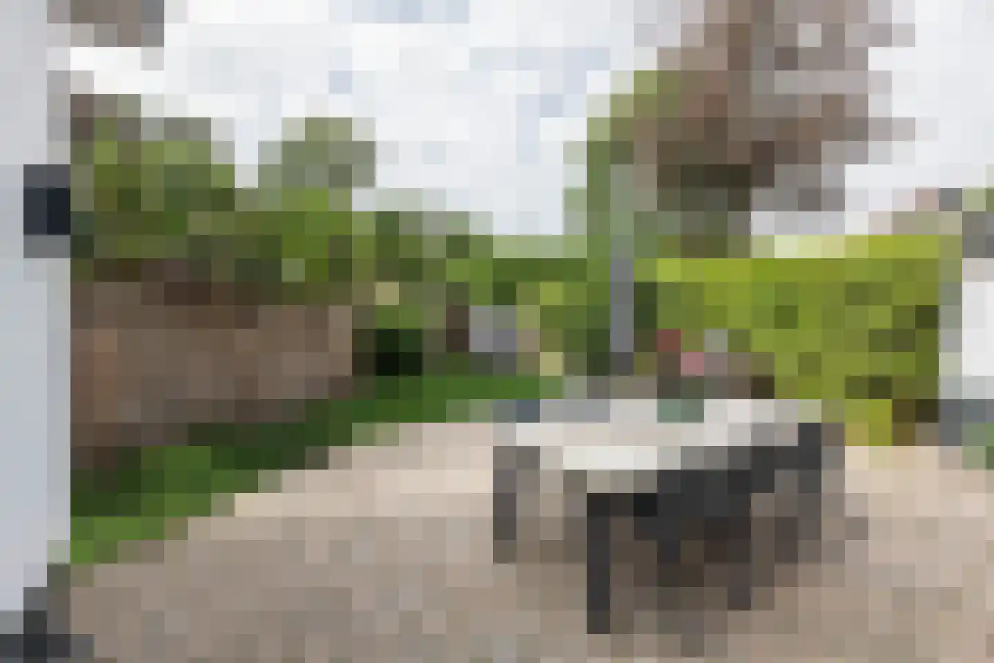 Teunisbloemlaan 4 Bentveld thumbnail 24