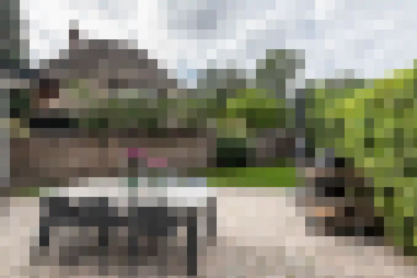 Teunisbloemlaan 4 Bentveld thumbnail 25