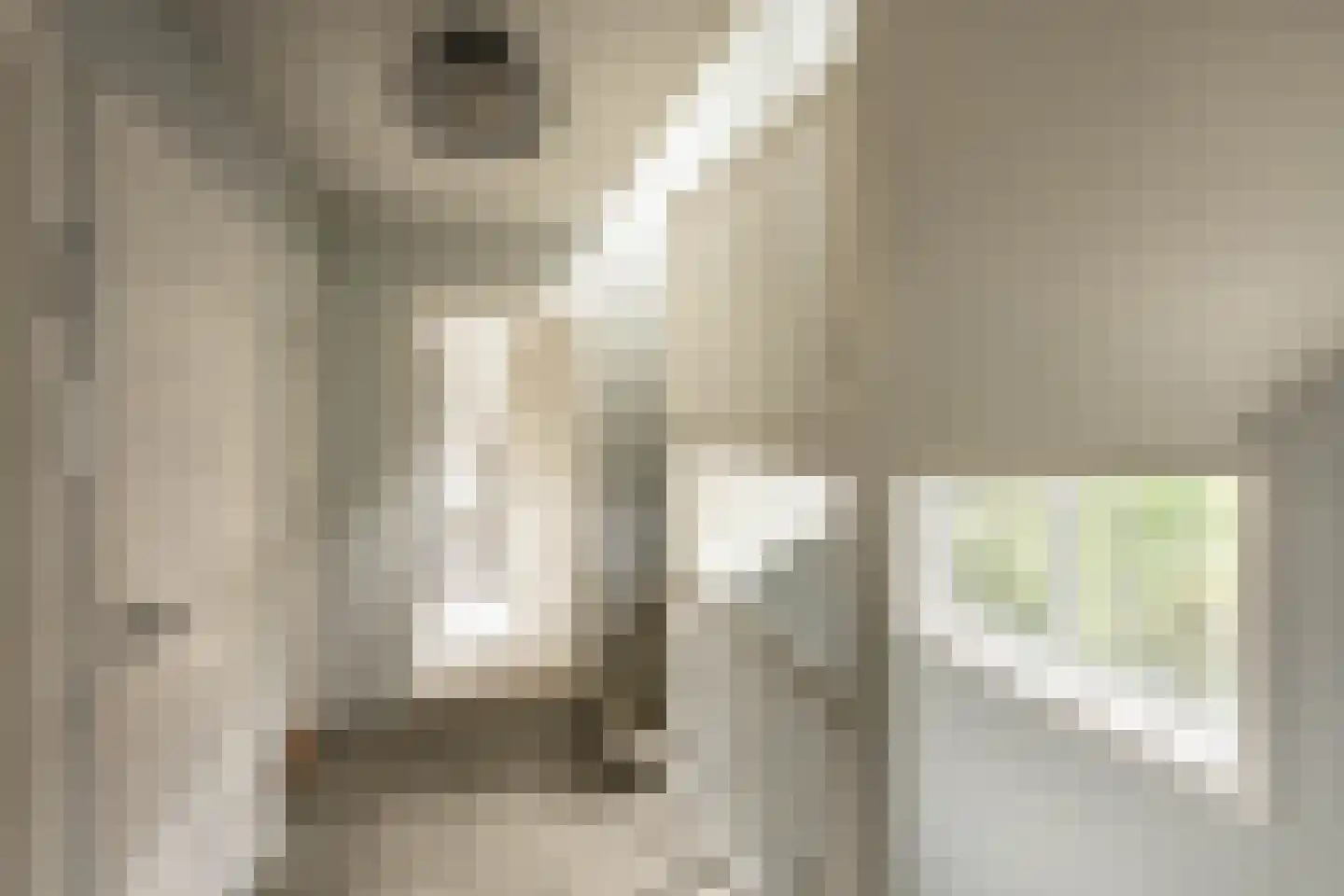 Teunisbloemlaan 4 Bentveld thumbnail 30