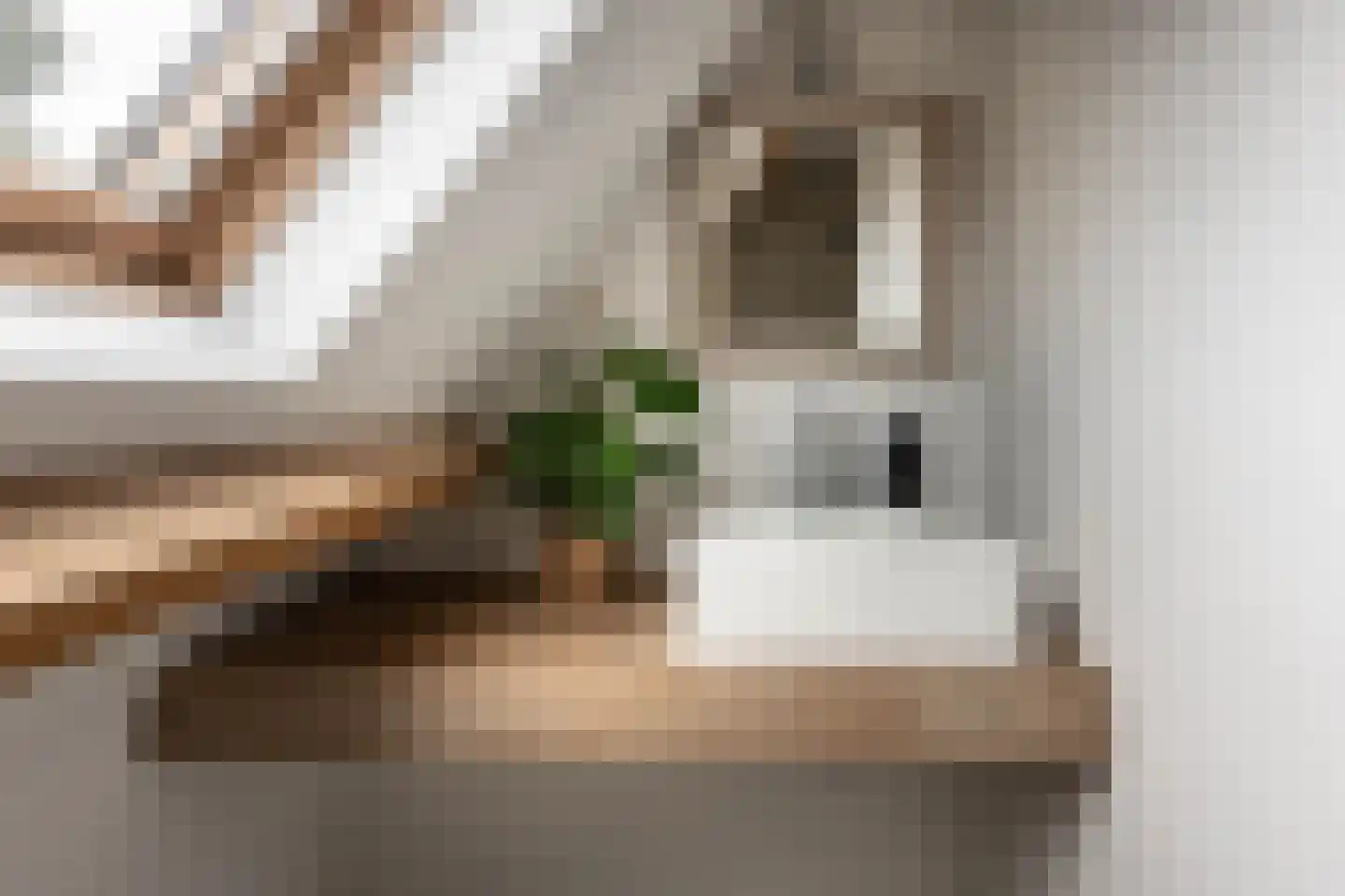 Teunisbloemlaan 4 Bentveld thumbnail 43
