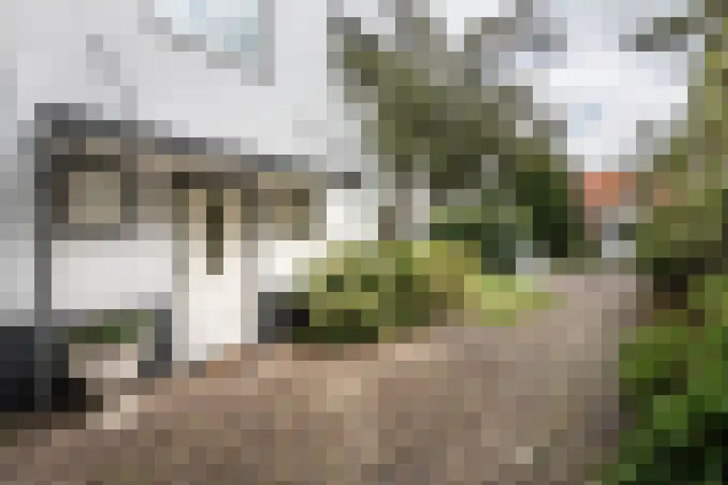 Teunisbloemlaan 4 Bentveld thumbnail 44