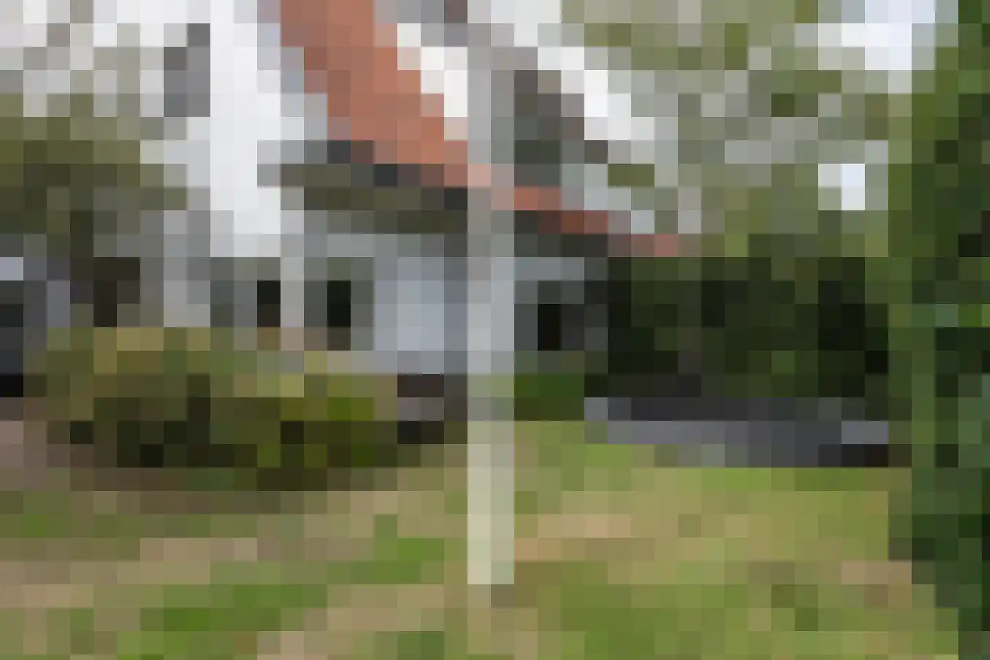 Teunisbloemlaan 4 Bentveld thumbnail 46