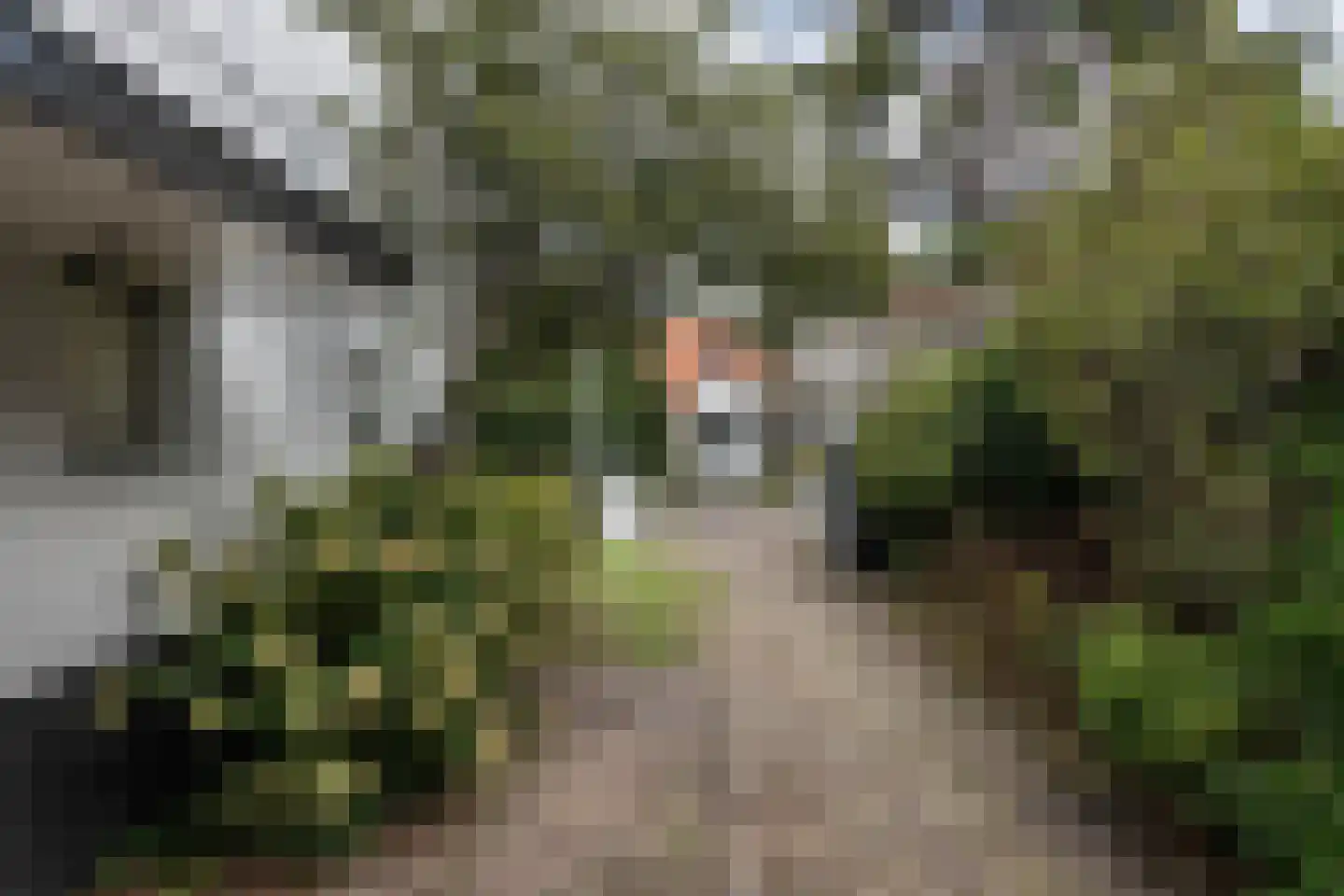 Teunisbloemlaan 4 Bentveld thumbnail 47